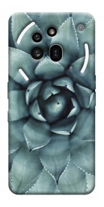 Чехол Суккуленты для Nothing Phone (3a) Pro