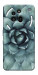 Чохол Сукуленти для Nothing Phone (3a) Pro