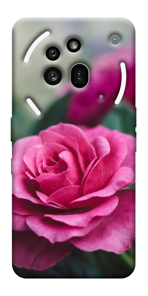 Чехол Роза в саду для Nothing Phone (3a) Pro
