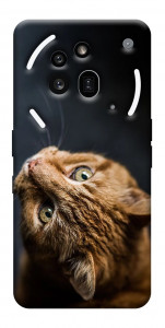 Чехол Рыжий кот для Nothing Phone (3a) Pro