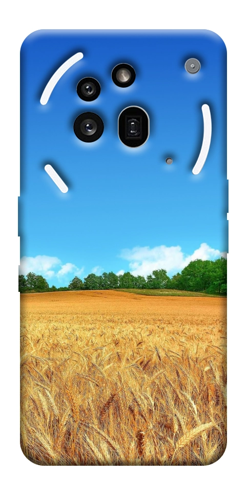 Чехол Пшеничное поле для Nothing Phone (3a) Pro