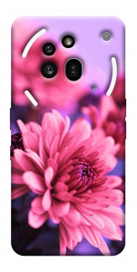 Чехол Нежная хризантема для Nothing Phone (3a) Pro