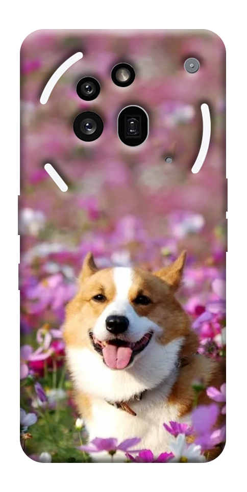 Чехол Корги в цветах для Nothing Phone (3a) Pro