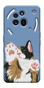 Чехол Funny cat для Nothing Phone (3a) Pro