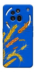 Чохол Колоски для Nothing Phone (3a) Pro