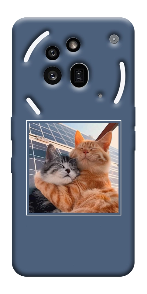 Чехол Кошачья нежность для Nothing Phone (3a) Pro