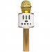 Караоке Мікрофон-колонка Q88 (Golden)