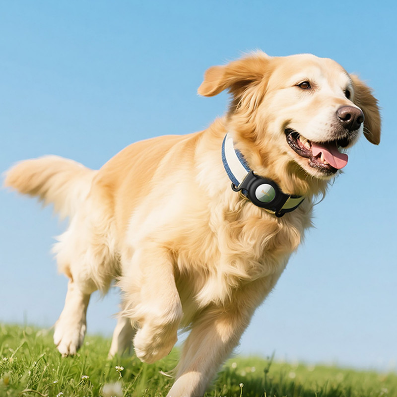 Купить Трекер Hoco E91C Tiger для ошейника 230 mAh (White) на vchehle.ua