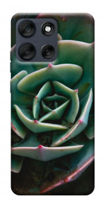 Чехол Эхеверия для Motorola Moto G56 5G