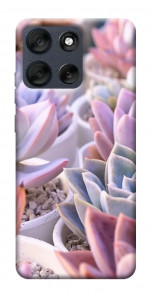 Чехол Эхеверия 2 для Motorola Moto G56 5G