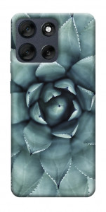 Чехол Суккуленты для Motorola Moto G56 5G