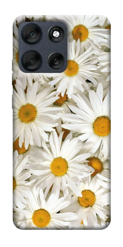 Чехол Chamomile для Motorola Moto G56 5G