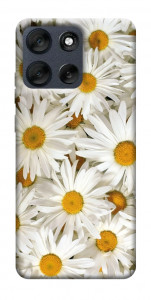 Чехол Chamomile для Motorola Moto G56 5G