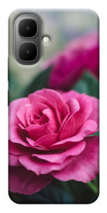 Чехол Роза в саду для Infinix Smart 10