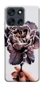 Чехол Гвоздика для Motorola Moto G56 5G