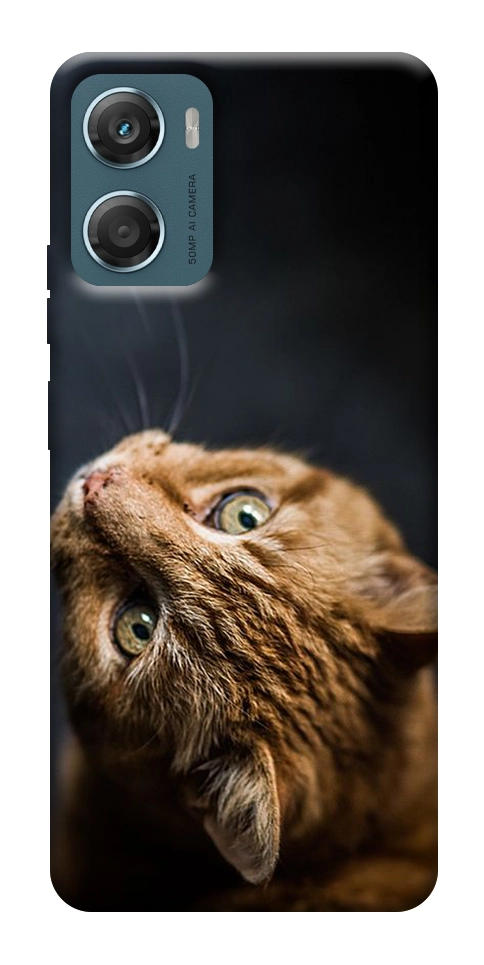 Чехол Рыжий кот для Motorola Moto G06