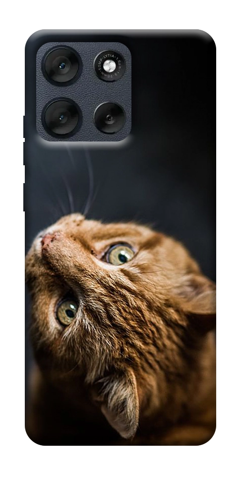 Чехол Рыжий кот для Motorola Moto G56 5G