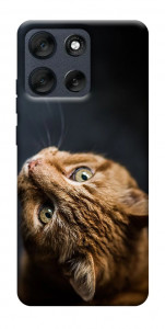 Чехол Рыжий кот для Motorola Moto G56 5G