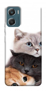 Чехол Три кота для Motorola Moto G06