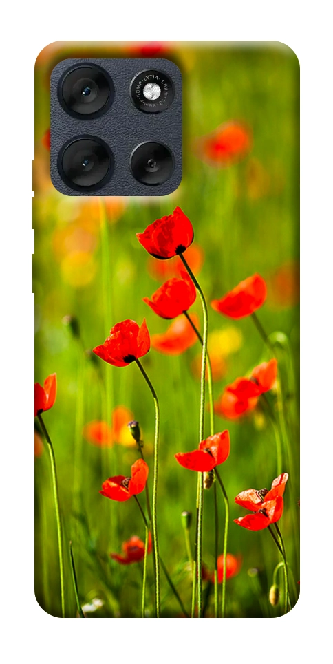Чехол Маковое поле для Motorola Moto G56 5G