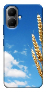 Чохол Пшениця для Infinix Smart 10