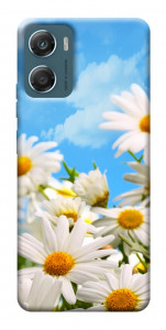 Чехол Ромашковое поле для Motorola Moto G06