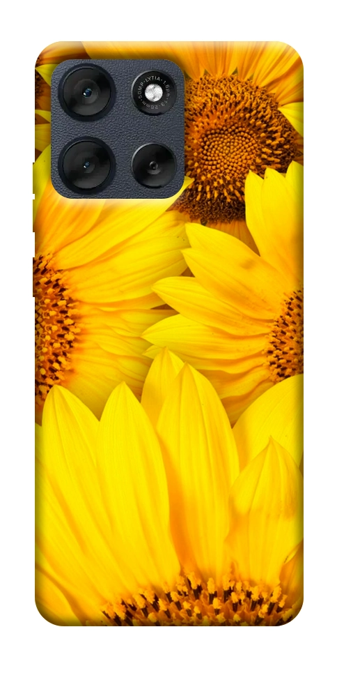 Чехол Букет подсолнухов для Motorola Moto G56 5G