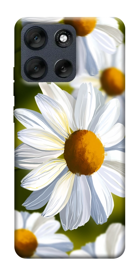 Чехол Ароматная ромашка для Motorola Moto G56 5G