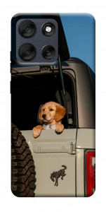 Чехол Dog in the car для Motorola Moto G56 5G