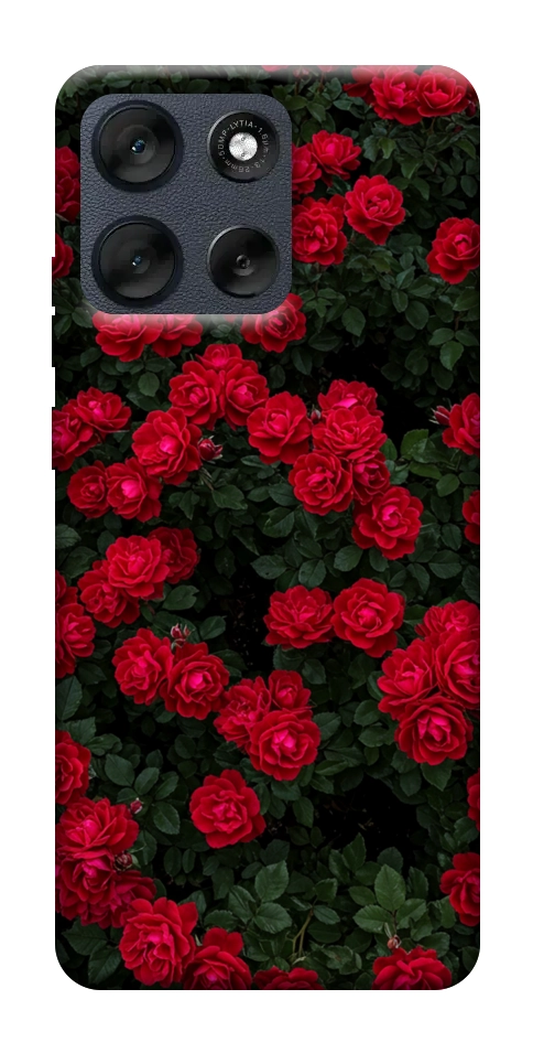Чехол Eternal roses для Motorola Moto G56 5G