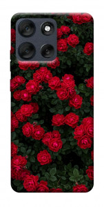 Чехол Eternal roses для Motorola Moto G56 5G
