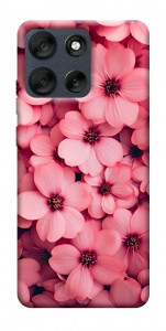 Чехол Pink flowers для Motorola Moto G56 5G