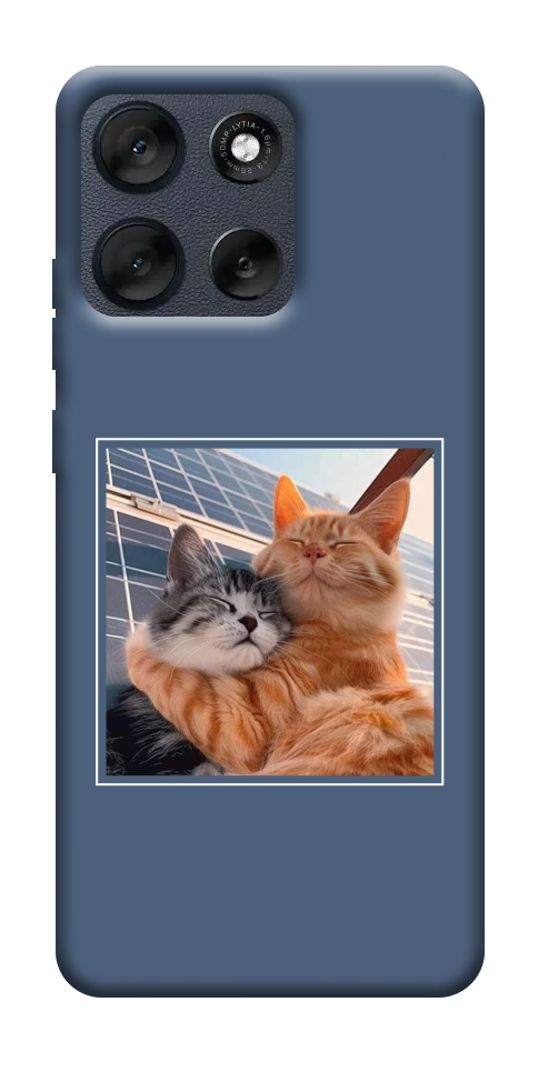 Чехол Кошачья нежность для Motorola Moto G56 5G