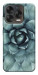 Чохол Сукуленти для ZTE Nubia V70 Design