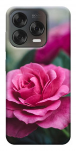 Чохол Троянда у саду для ZTE Nubia V70 Design