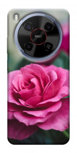 Чехол Роза в саду для ZTE Nubia V70 Max
