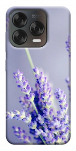 Чохол Лаванда для ZTE Nubia V70 Design