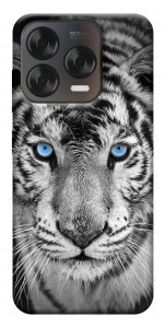 Чохол Бенгальський тигр для ZTE Nubia V70 Design