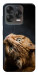 Чехол Рыжий кот для ZTE Nubia V70 Design