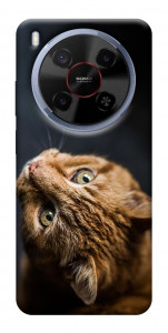 Чехол Рыжий кот для ZTE Nubia V70 Max