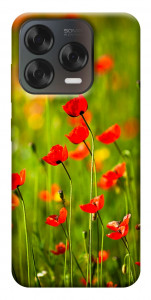 Чохол Макове поле для ZTE Nubia V70 Design