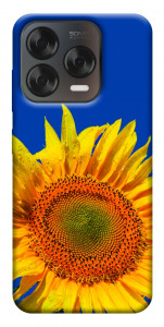 Чохол Sunflower для ZTE Nubia V70 Design