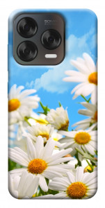 Чохол Ромашкове поле для ZTE Nubia V70 Design