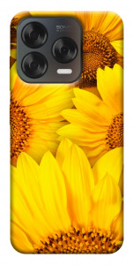 Чохол Букет соняшників для ZTE Nubia V70 Design