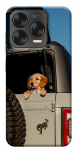 Чохол Dog in the car для ZTE Nubia V70 Design