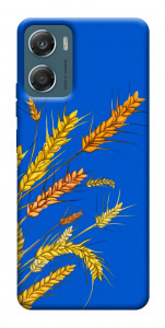 Чехол Колоски для Motorola Moto G06