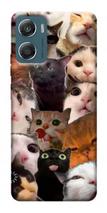 Чохол Сats сollage для Motorola Moto G06