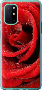 Чохол для OnePlus 8T Червона роза (Червоний)