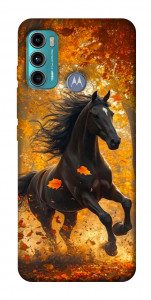 Чехол Autumn Horse для Motorola Moto G60