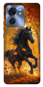 Чехол Autumn Horse для Motorola Edge 40